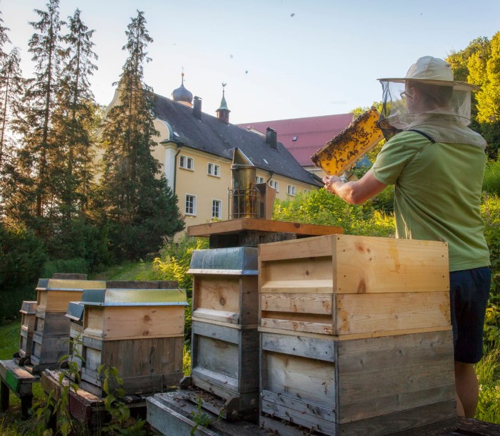 Klosterhonig Ave Maria